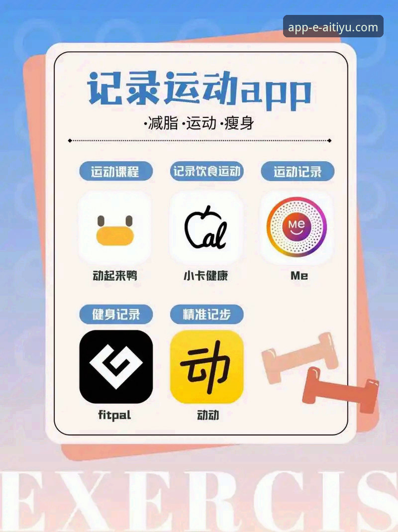 资深体育迷亲测：解锁爱体育APP免费下载必备的完整指南与深度体验